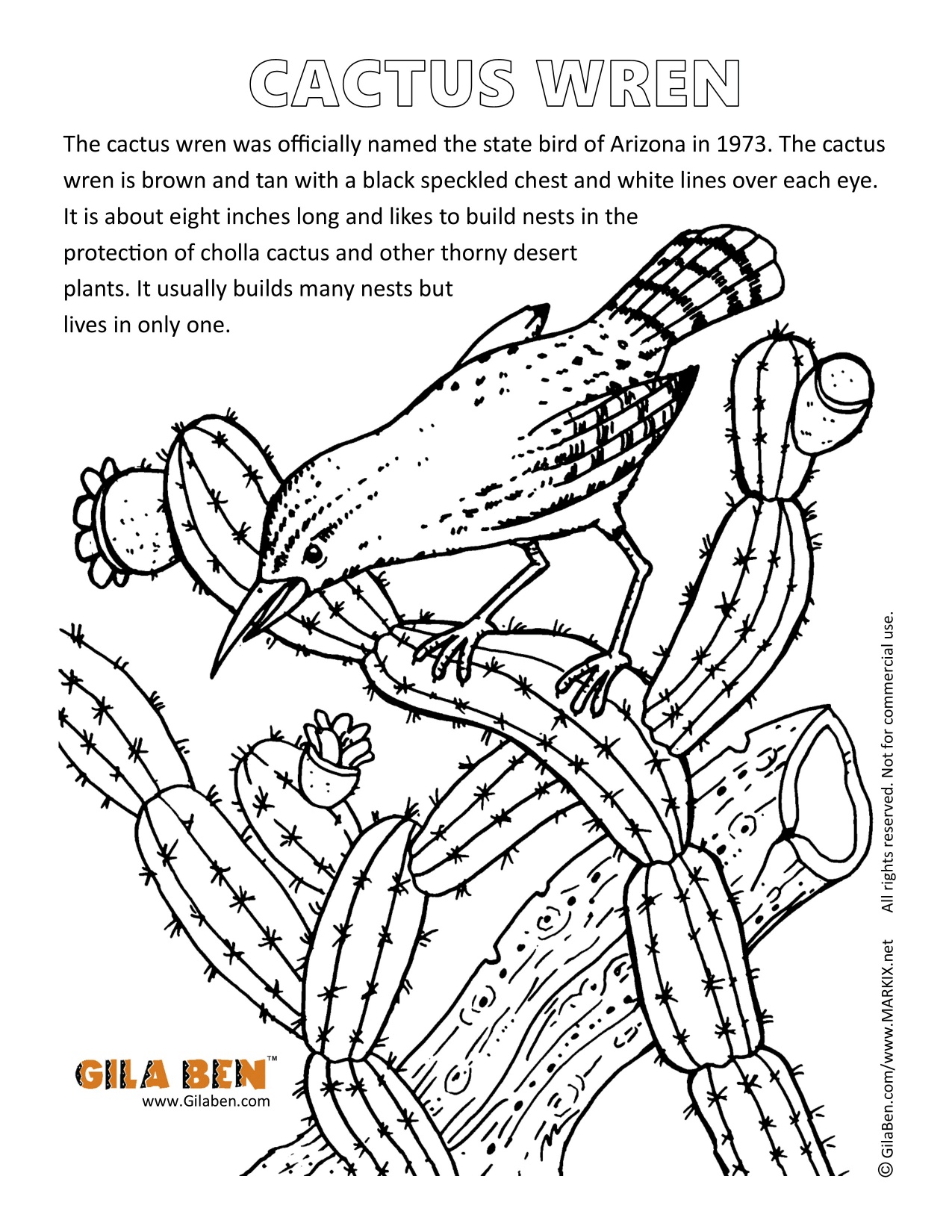 arizona-state-bird-and-flower-coloring-page-coloringpages2019