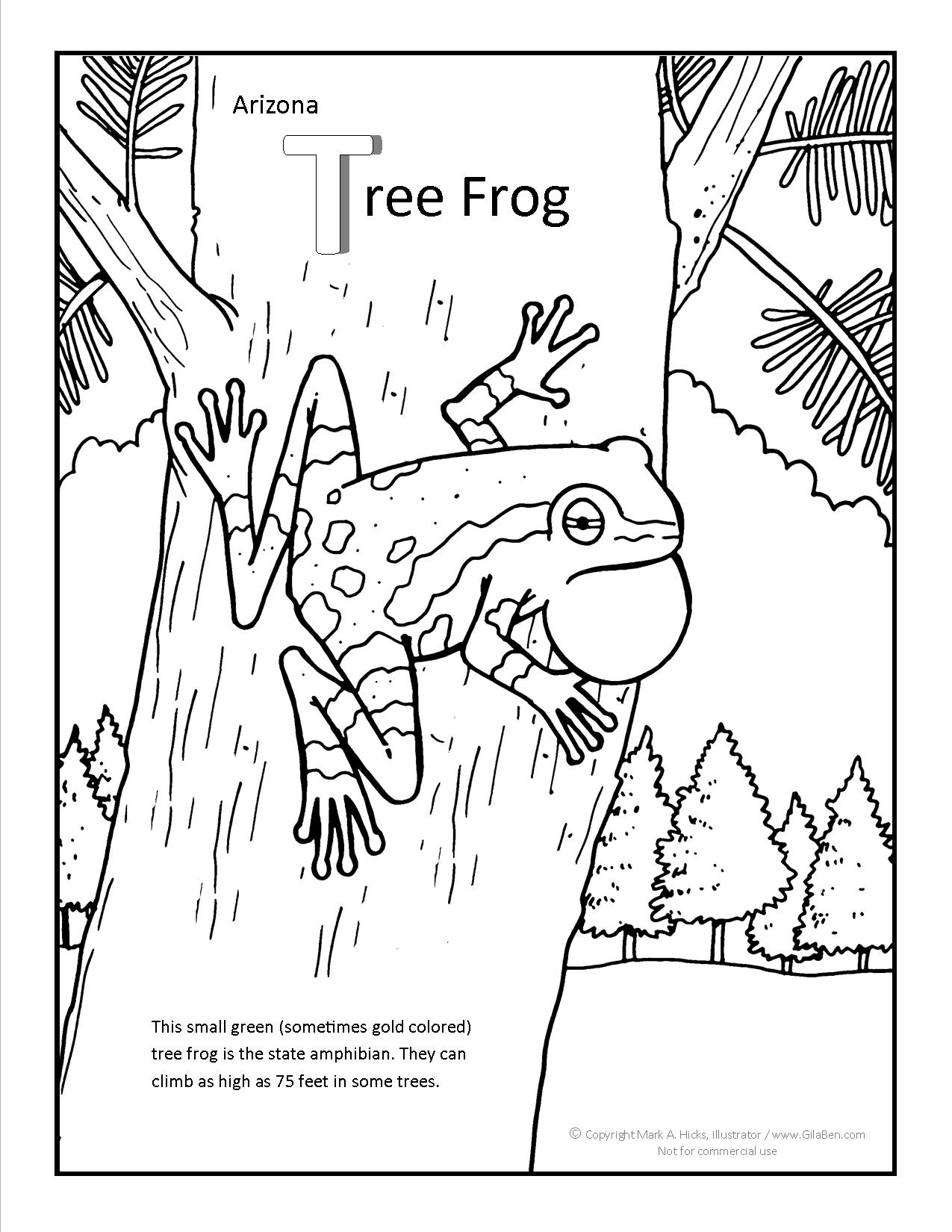 Arizona Tree Frog Coloring Page