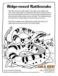 Ridge-nosed Rattlesnake -- coloring page thumb