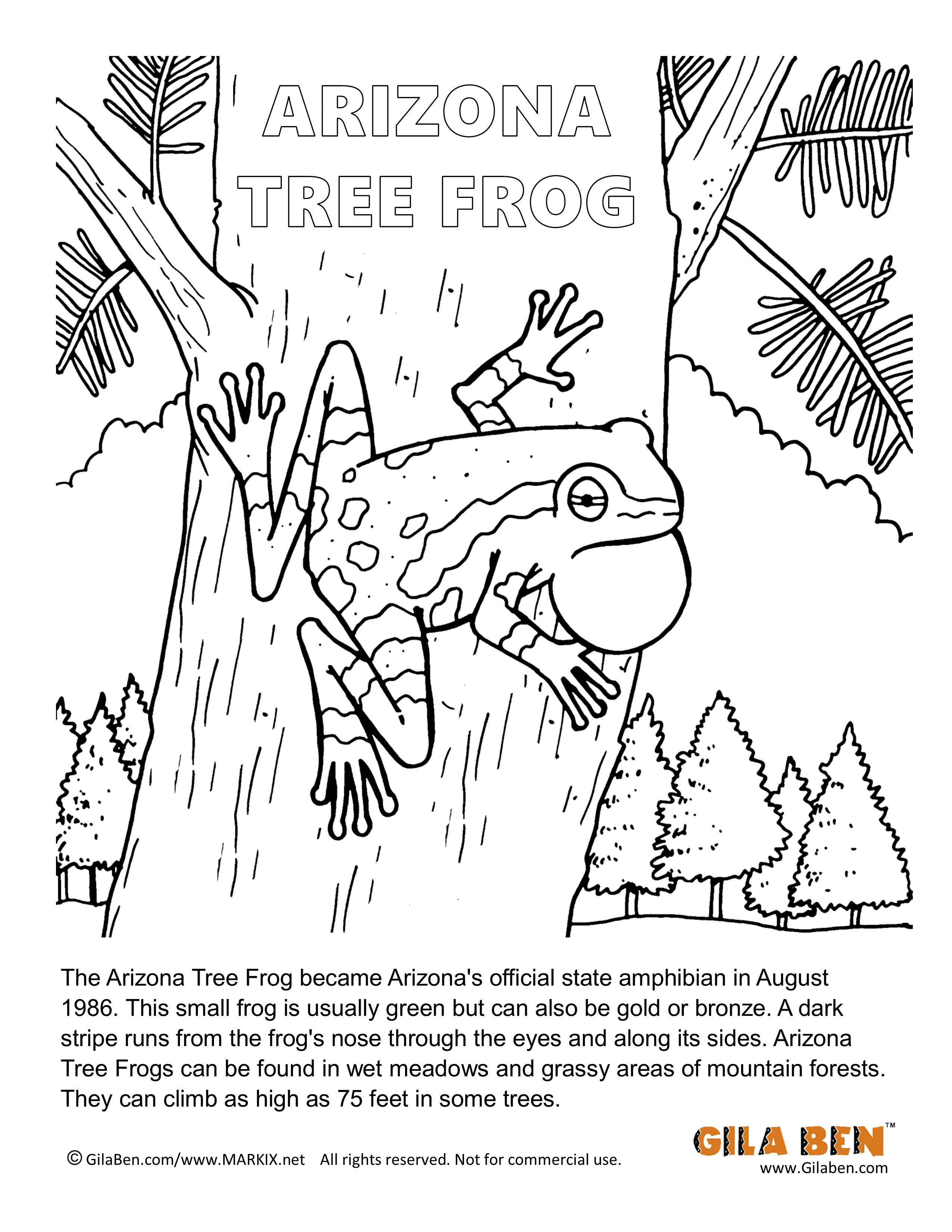 Arizona State Amphibian: Arizona Tree Frog Coloring Page